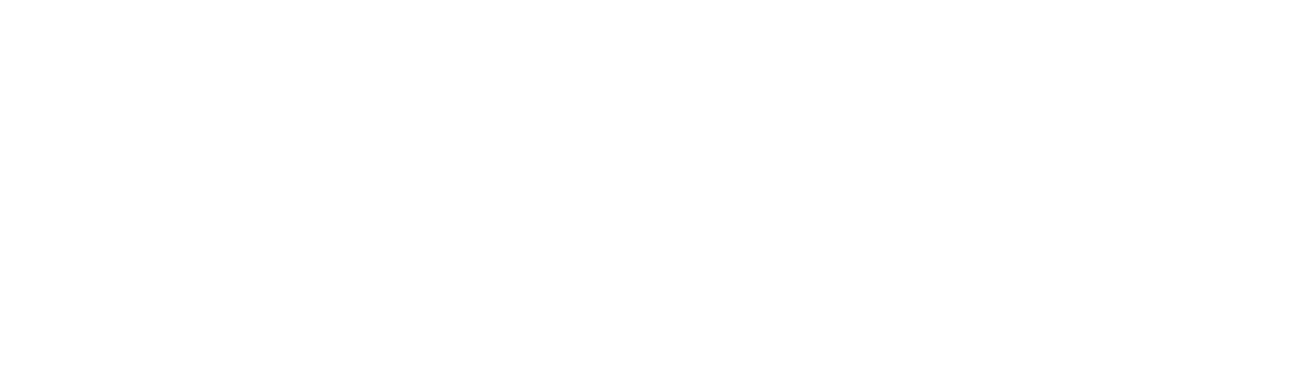 Logo Orange