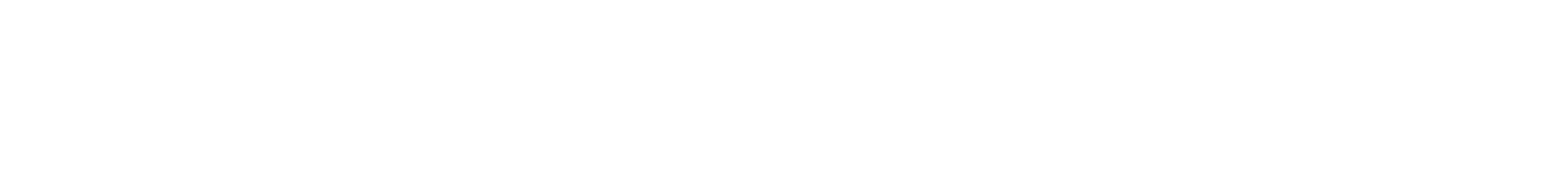 Logo Shein