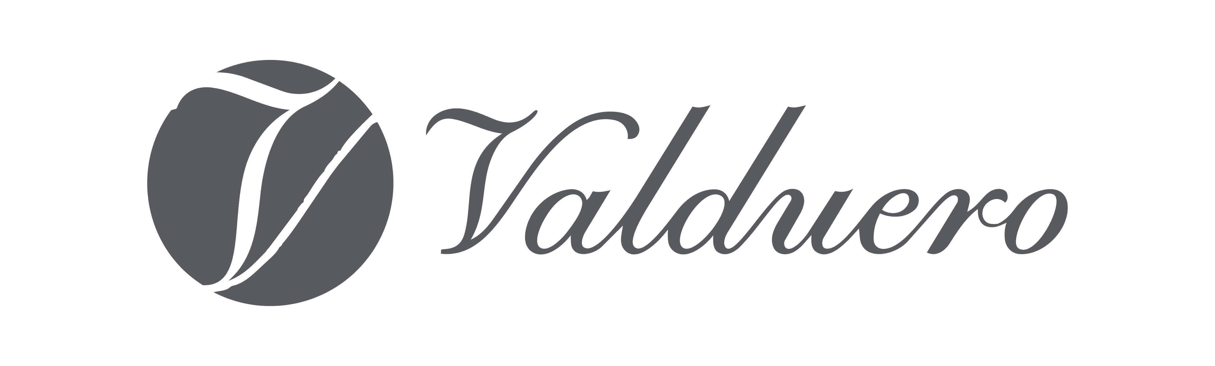 Logo Valduero